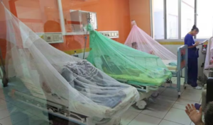 Niños de 5 a 9 años, los más afectados por la epidemia del dengue