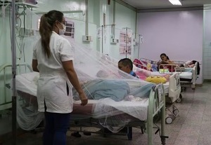 Dengue: El 16% de los hospitalizados tiene entre 5 a 9 años, reportan - trece
