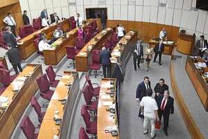 Organizaciones y referentes de la sociedad civil, preocupados por la seguridad jurídica y democracia - Política - ABC Color
