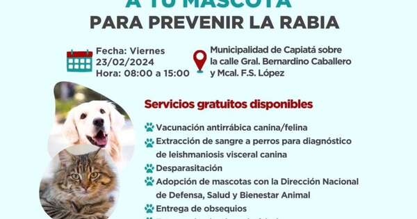 Diario HOY | Anuncian jornada de vacunación antirrábica para perros y gatos