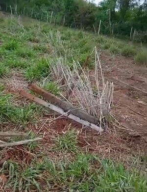 Otro hecho de abigeato en el distrito de Concepción