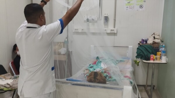 Tres grandes epidemias de dengue dejaron más de 500.000 afectados