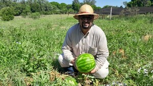 Una granja ofrece la experiencia de cosechar al cliente lo que comprará