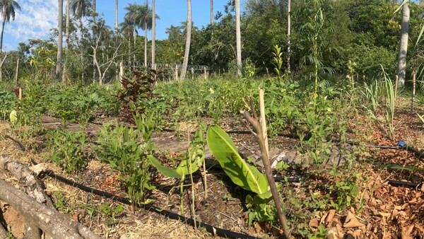 Sitio Tereré, el lugar biodiverso que inspira