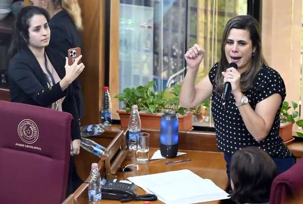 Decisiones que debilitan democracia, principal riesgo para nuestra economía - Economía - ABC Color