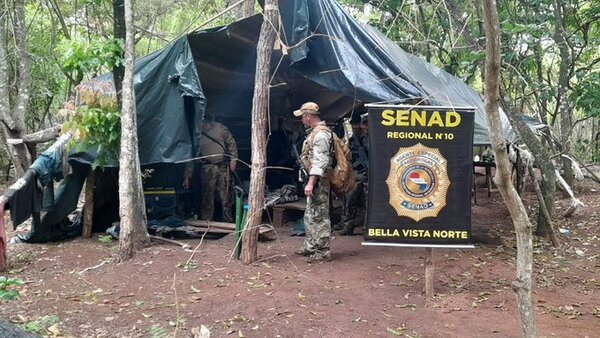 SENAD suma 33 toneladas de marihuana anuladas en dos jornadas de irrupciones en Bella Vista Norte