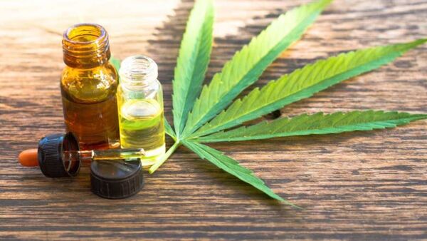 Seis beneficios del uso del aceite de cannabis