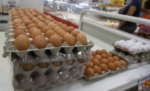 Precio del huevo: clima afectó producción, aunque aumento es regional, señalan