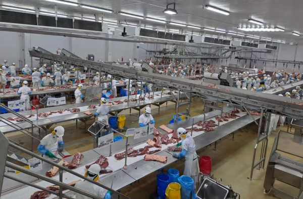 Carne paraguaya en EE. UU. es “valorada y se está enviando sin mayores problemas”