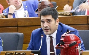 Diputado Espínola evalúa frente contra modelo cartista
