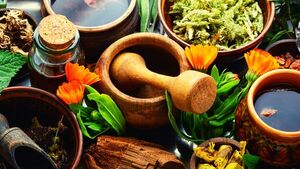 La sobremesa de IDM: Métodos naturales anti dengue - SNT