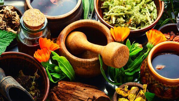 La sobremesa de IDM: Métodos naturales anti dengue - SNT