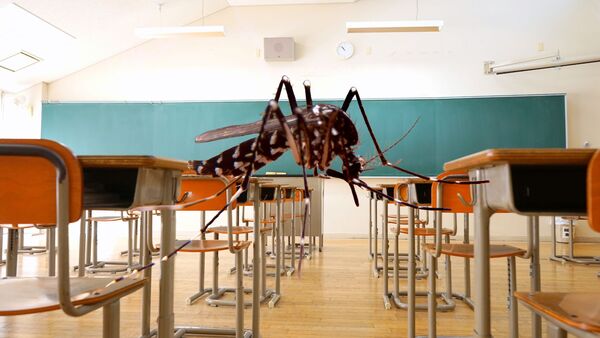 La sobremesa de IDM: Vuelta a clases mientras acecha el dengue - SNT