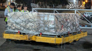 Hito: Paraguay realizó su primera exportación de suero fetal bovino a Gran Bretaña - Unicanal