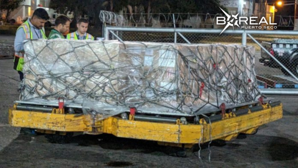 Hito: Paraguay realizó su primera exportación de suero fetal bovino a Gran Bretaña - Unicanal