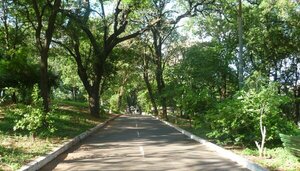 Se entregó el adolescente de 16 años que disparó a una joven en Parque Carlos Antonio López