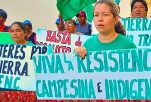 Campesinos "con camionadas de mandioca" anuncian movilizaciones frente al MAG este martes - Megacadena - Diario Digital