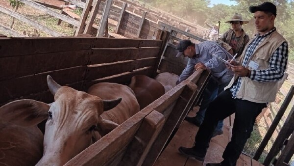 Inició campaña antiaftosa y prevén vacunar a 13.500.000