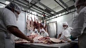 Trabajadores podrán elegir seguro social de su preferencia en Argentina