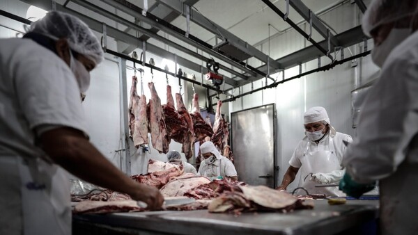 Trabajadores podrán elegir seguro social de su preferencia en Argentina