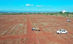 ITAIPU cierra primera etapa de restauración forestal en Tatí Yupí con unos 250.000 plantines sembrados – Diario TNPRESS
