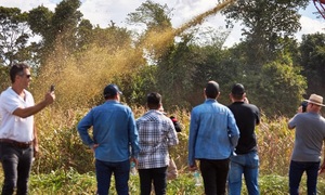 Innovar 2024: Feria destaca soluciones para una agricultura sostenible