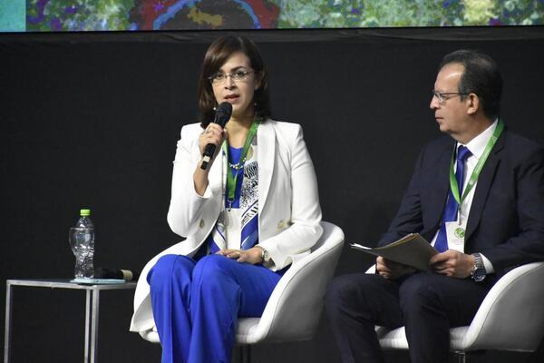 AFD proyecta aumentar líneas de crédito en US$ 300 millones, con especial impulso en educación - .::Agencia IP::.