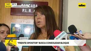 Planillerismo en el Congreso: Dionisio Amarilla debería ser expulsado, dice senadora - ABC Noticias - ABC Color