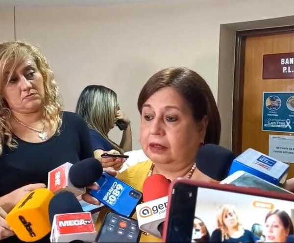 Opositores formarán bloque democrático para hacer frente al grupo oficialista - El Independiente