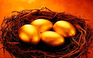 No matemos a la gallina de los huevos de oro: aumento desmedido del gasto p煤blico en Paraguay en 2023 - Revista PLUS