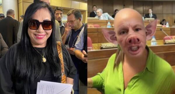 [VIDEO] Senadora denunció a periodista por "violencia contra la mujer"