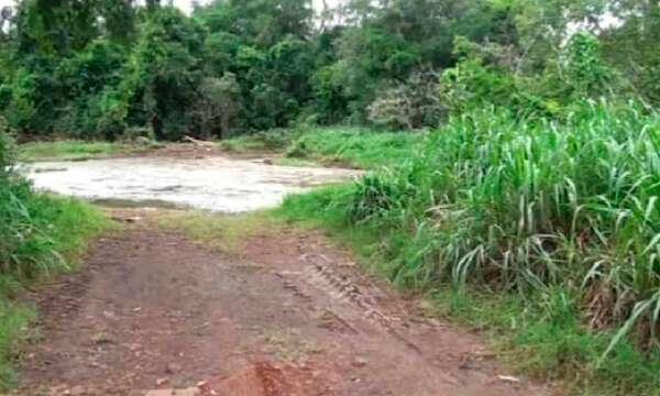 Mujer sufrió 4 cuchilladas en el corazón y otras 20 en el cuerpo: siguen sin identificarla - Noticiero Paraguay