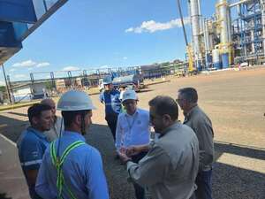 Identifican condiciones para avanzar con la generación de energía renovable no convencional - Economía - ABC Color