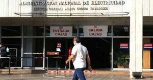 La Nación / Gremio de rematadores pide igualdad a la Ande en llamado a subasta