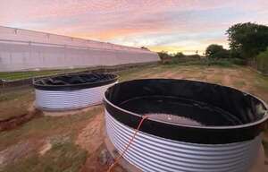 Acuaponía: en donde se combinan la cría  de peces y la horticultura - Economía - ABC Color
