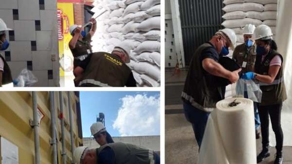 Con 52 toneladas, se reanudan envíos de arroz local a México