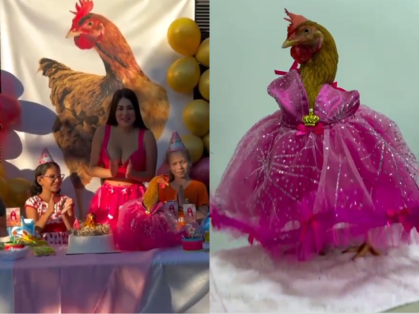 Laurys Dyva y el festejo iconic de su mascota: La bella Hortensia