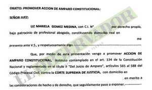 Corte pidió rechazar amparo para acceder a seguro de funcionaria con embarazo de alto riesgo 