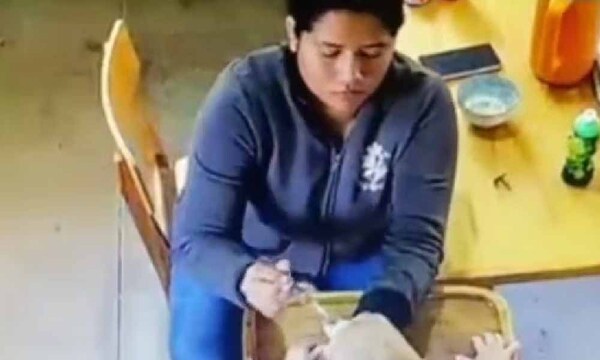 La mano que mece la cuna, la misma que abofetea al bebé: niñera desata el terror – Prensa 5