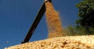 Diario HOY | Fiscal abre proceso contra camionero por supuesta apropiación de 33mil kilos de soja