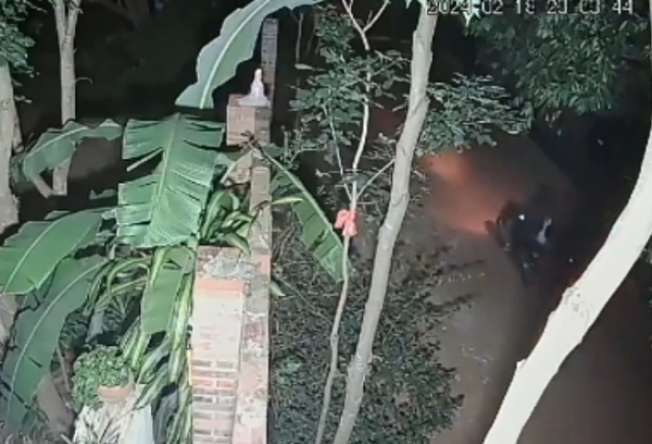 Delivery fue agredido y pelado por motochorros
