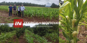 GOBIERNO DEPARTAMENTAL LOGRÓ ASISTIR A PEQUEÑOS PRODUCTORES DE TODO EL DEPARTAMENTO - Itapúa Noticias