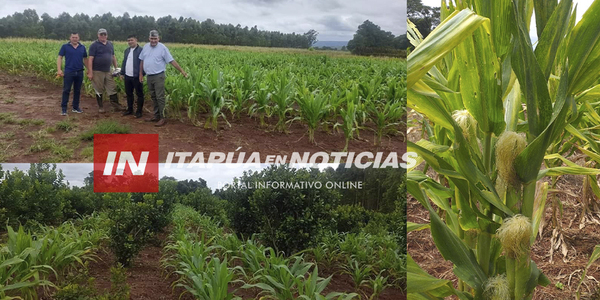 GOBIERNO DEPARTAMENTAL LOGRÓ ASISTIR A PEQUEÑOS PRODUCTORES DE TODO EL DEPARTAMENTO - Itapúa Noticias