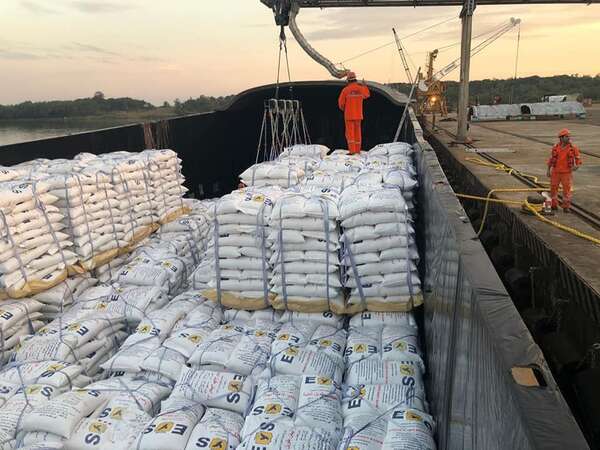 Arroz paraguayo regresa al mercado mexicano