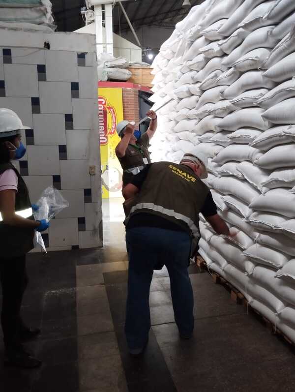 Arroz paraguayo vuelve a ingresar al mercado de México - trece