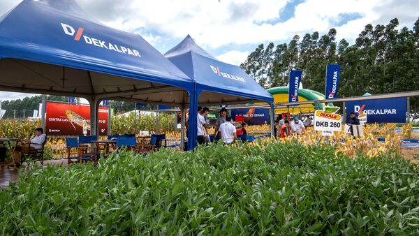 Dekalpar acercó a los productores nuevas tecnologías para la zafriña de maíz