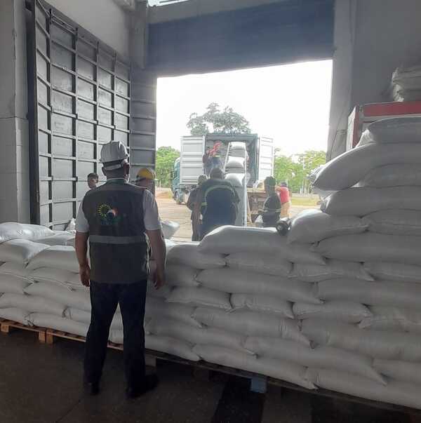 Arroz paraguayo vuelve a ingresar al mercado de M茅xico: producci贸n registra inversi贸n sostenida - Revista PLUS