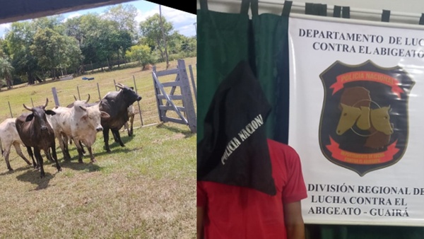 Aprehendieron a tres personas por transportar animales de dudosa procedencia