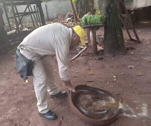 Se realiza Minga Ambiental, impulsada por la USF Libertador de Presidente Franco 