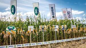 NK posicionó sus híbridos en la jornada de la Cooperativa Santa Teresa